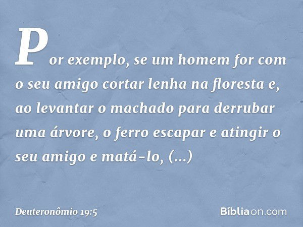 Por exemplo, se um homem for com o seu amigo cortar lenha na floresta e, ao levantar o machado para derrubar uma árvore, o ferro escapar e atingir o seu amigo e