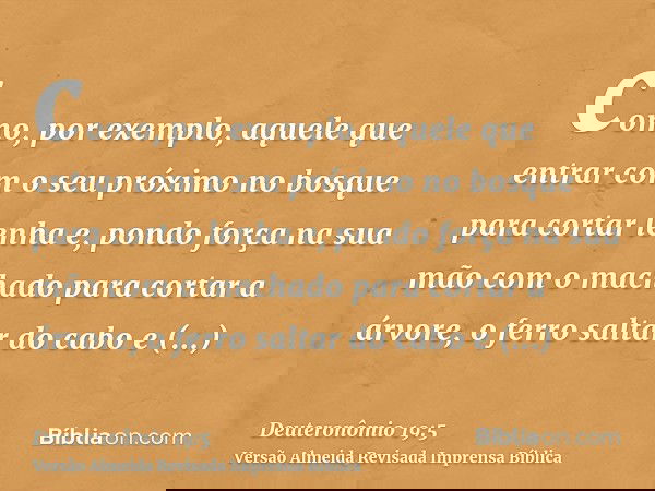 como, por exemplo, aquele que entrar com o seu próximo no bosque para cortar lenha e, pondo força na sua mão com o machado para cortar a árvore, o ferro saltar