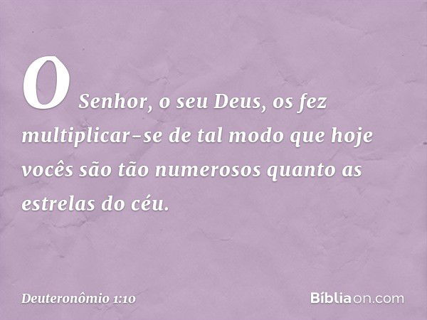 O Senhor, o seu Deus, os fez multiplicar-se de tal modo que hoje vocês são tão numerosos quanto as estrelas do céu. -- Deuteronômio 1:10