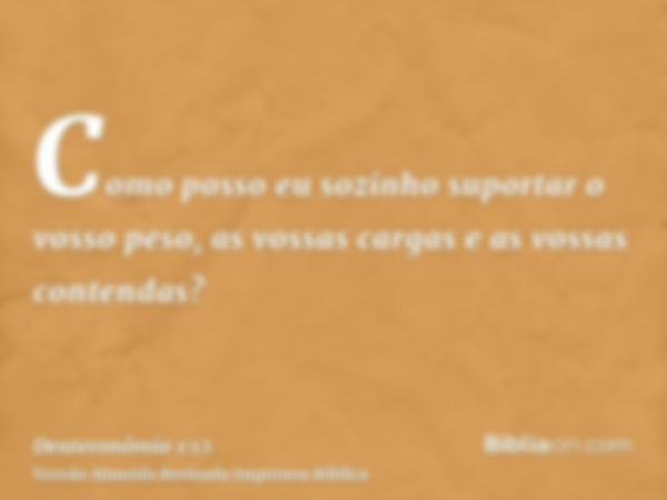 Como posso eu sozinho suportar o vosso peso, as vossas cargas e as vossas contendas?