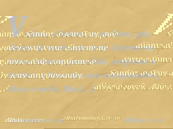 Vejam, o Senhor, o seu Deus, põe diante de vocês esta terra. Entrem na terra e tomem posse dela, conforme o Senhor, o Deus dos seus antepassados, disse a vocês.