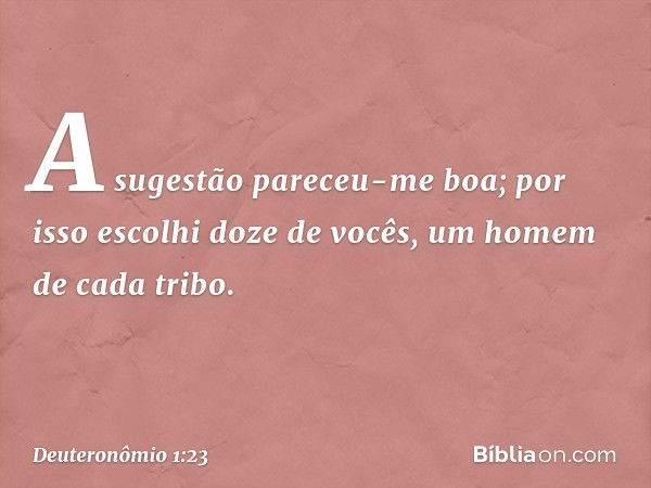 "A sugestão pareceu-me boa; por isso escolhi doze de vocês, um homem de cada tribo. -- Deuteronômio 1:23