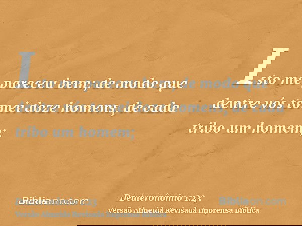 Isto me pareceu bem; de modo que dentre vós tomei doze homens, de cada tribo um homem;