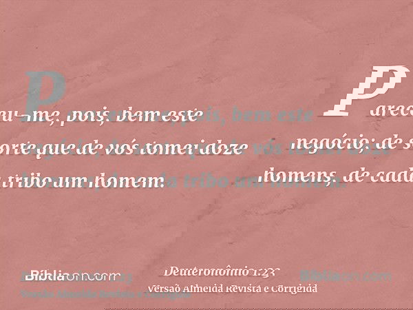 Pareceu-me, pois, bem este negócio; de sorte que de vós tomei doze homens, de cada tribo um homem.