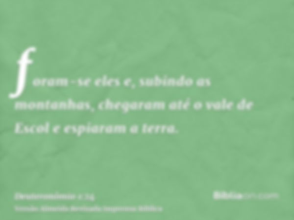 foram-se eles e, subindo as montanhas, chegaram até o vale de Escol e espiaram a terra.