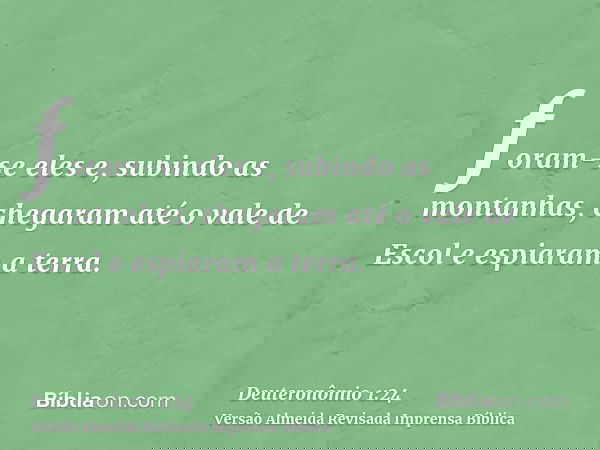 foram-se eles e, subindo as montanhas, chegaram até o vale de Escol e espiaram a terra.