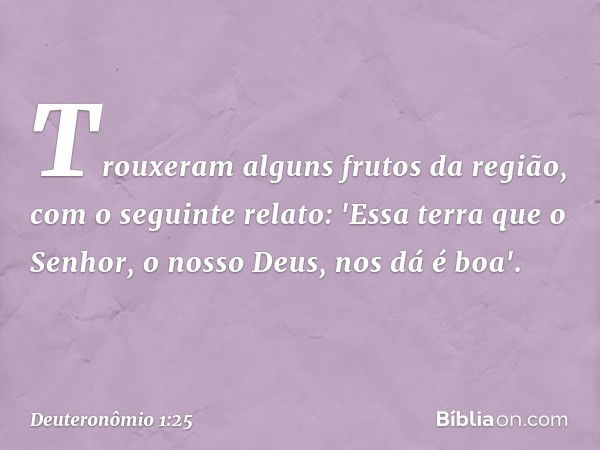 Trouxeram alguns frutos da região, com o seguinte relato: 'Essa terra que o Senhor, o nosso Deus, nos dá é boa'. -- Deuteronômio 1:25