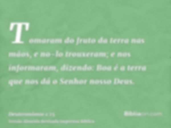 Tomaram do fruto da terra nas mãos, e no-lo trouxeram; e nos informaram, dizendo: Boa é a terra que nos dá o Senhor nosso Deus.