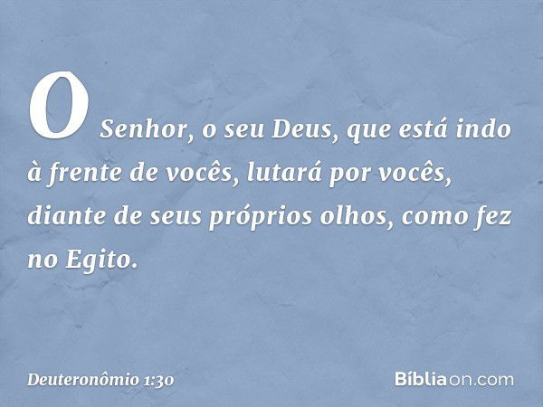 O Senhor, o seu Deus, que está indo à frente de vocês, lutará por vocês, diante de seus próprios olhos, como fez no Egito. -- Deuteronômio 1:30