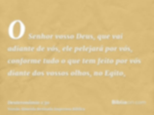 O Senhor vosso Deus, que vai adiante de vós, ele pelejará por vós, conforme tudo o que tem feito por vós diante dos vossos olhos, no Egito,