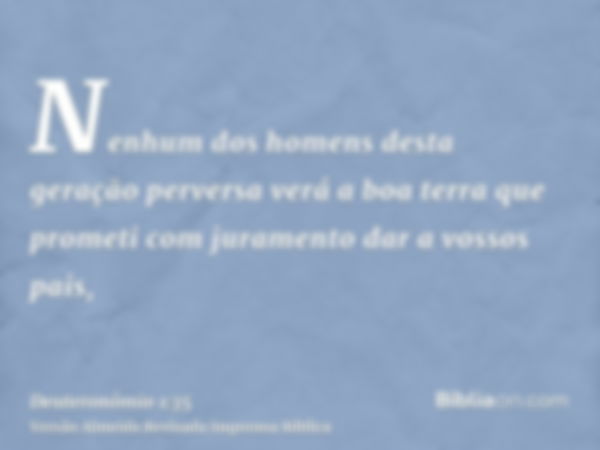 Nenhum dos homens desta geração perversa verá a boa terra que prometi com juramento dar a vossos pais,