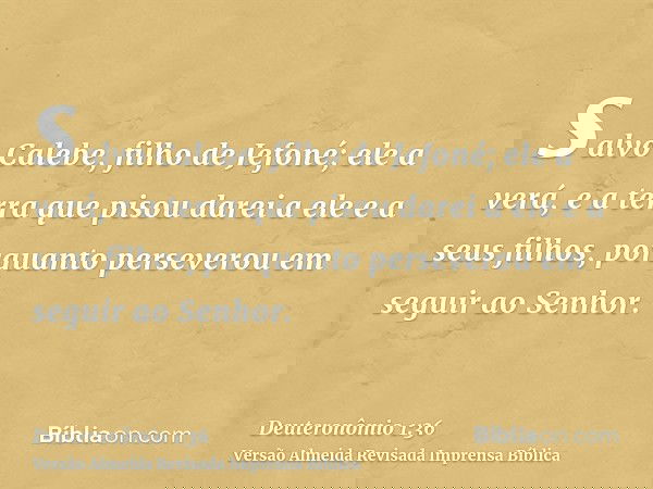 salvo Calebe, filho de Jefoné; ele a verá, e a terra que pisou darei a ele e a seus filhos, porquanto perseverou em seguir ao Senhor.