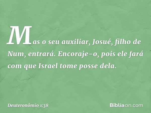 Mas o seu auxiliar, Josué, filho de Num, entrará. Encoraje-o, pois ele fará com que Israel tome posse dela. -- Deuteronômio 1:38