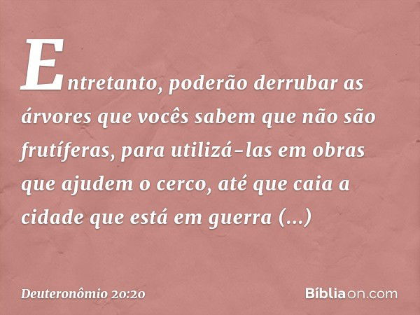 Entretanto, poderão derrubar as árvores que vocês sabem que não são frutíferas, para utilizá-las em obras que ajudem o cerco, até que caia a cidade que está em 