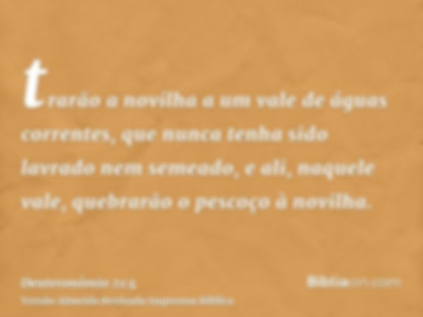 trarão a novilha a um vale de águas correntes, que nunca tenha sido lavrado nem semeado, e ali, naquele vale, quebrarão o pescoço à novilha.