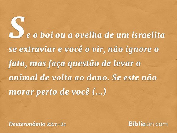 "Se o boi ou a ovelha de um israelita se extraviar e você o vir, não ignore o fato, mas faça questão de levar o animal de volta ao dono. Se este não morar perto