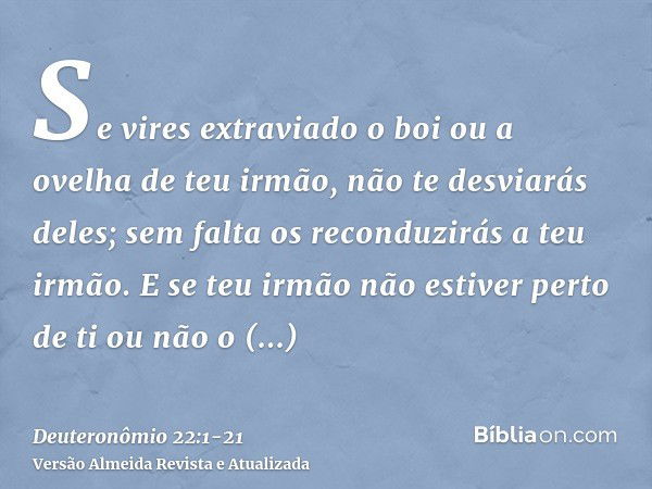 Se vires extraviado o boi ou a ovelha de teu irmão, não te desviarás deles; sem falta os reconduzirás a teu irmão.E se teu irmão não estiver perto de ti ou não 