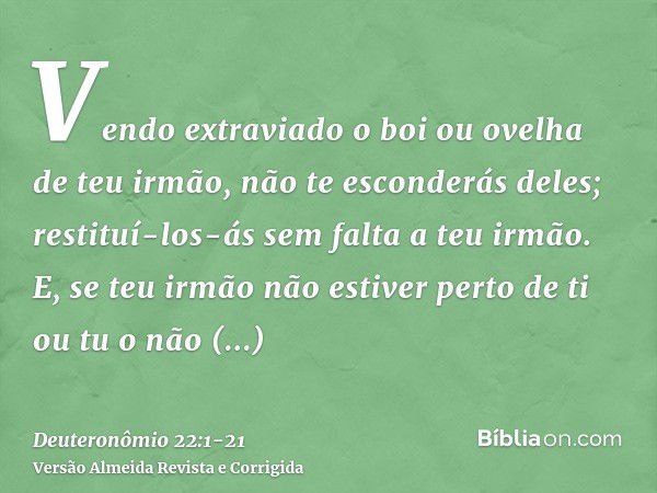 Vendo extraviado o boi ou ovelha de teu irmão, não te esconderás deles; restituí-los-ás sem falta a teu irmão.E, se teu irmão não estiver perto de ti ou tu o nã