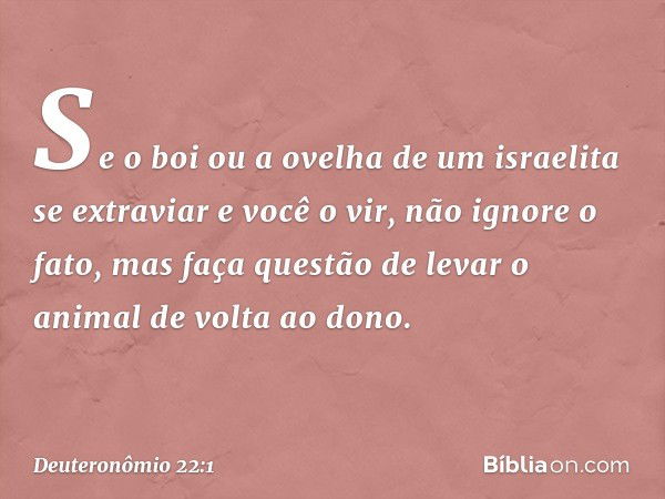 "Se o boi ou a ovelha de um israelita se extraviar e você o vir, não ignore o fato, mas faça questão de levar o animal de volta ao dono. -- Deuteronômio 22:1