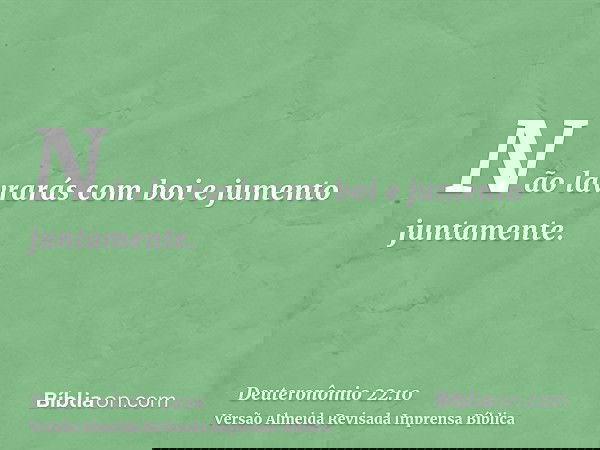 Não lavrarás com boi e jumento juntamente.