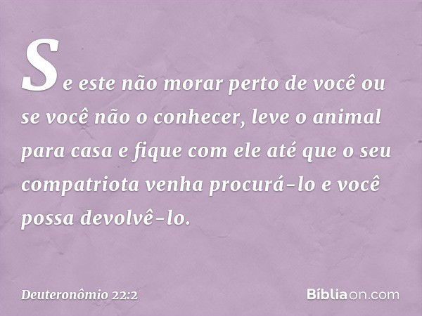 Se este não morar perto de você ou se você não o conhecer, leve o animal para casa e fique com ele até que o seu compatriota venha procurá-lo e você possa devol