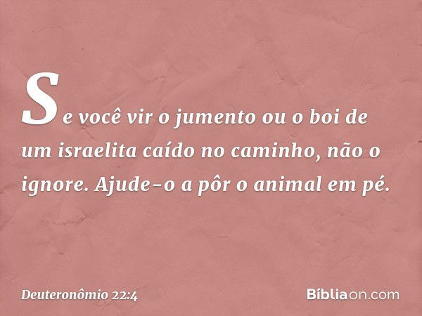 "Se você vir o jumento ou o boi de um israelita caído no caminho, não o ignore. Ajude-o a pôr o animal em pé. -- Deuteronômio 22:4