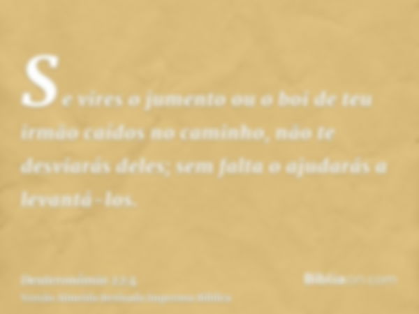 Se vires o jumento ou o boi de teu irmão caídos no caminho, não te desviarás deles; sem falta o ajudarás a levantá-los.