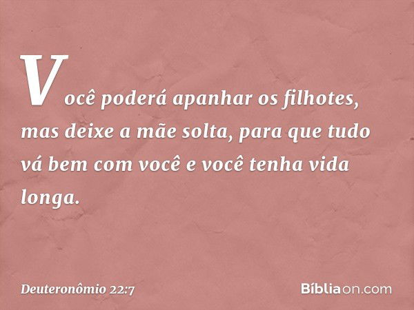 Você poderá apanhar os filhotes, mas deixe a mãe solta, para que tudo vá bem com você e você tenha vida longa. -- Deuteronômio 22:7