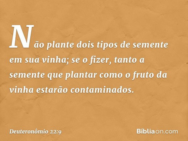 "Não plante dois tipos de semente em sua vinha; se o fizer, tanto a semente que plantar como o fruto da vinha estarão contaminados. -- Deuteronômio 22:9