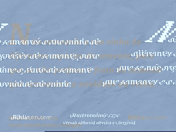 Não semearás a tua vinha de diferentes espécies de semente, para que se não profane o fruto da semente que semeares e a novidade da vinha.
