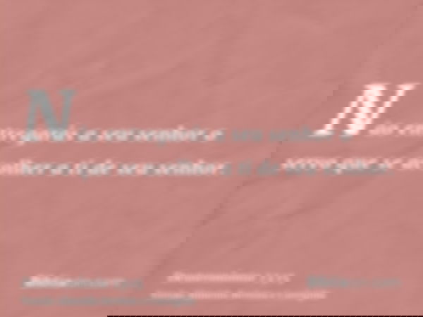 Não entregarás a seu senhor o servo que se acolher a ti de seu senhor.