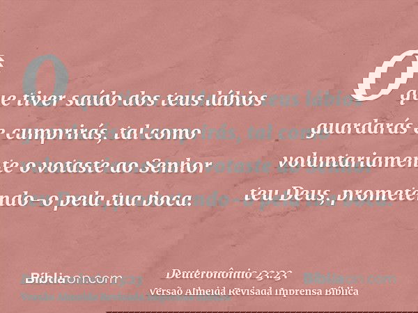 O que tiver saído dos teus lábios guardarás e cumprirás, tal como voluntariamente o votaste ao Senhor teu Deus, prometendo-o pela tua boca.