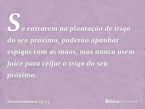 Se entrarem na plantação de trigo do seu próximo, poderão apanhar espigas com as mãos, mas nunca usem foice para ceifar o trigo do seu próximo. -- Deuteronômio 