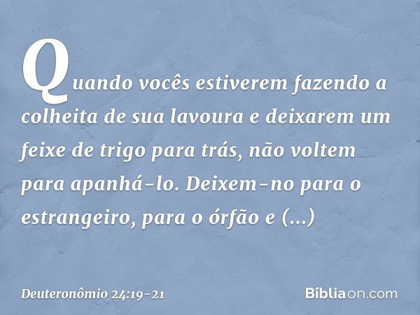 "Quando vocês estiverem fazendo a colheita de sua lavoura e deixarem um feixe de trigo para trás, não voltem para apanhá-lo. Deixem-no para o estrangeiro, para 