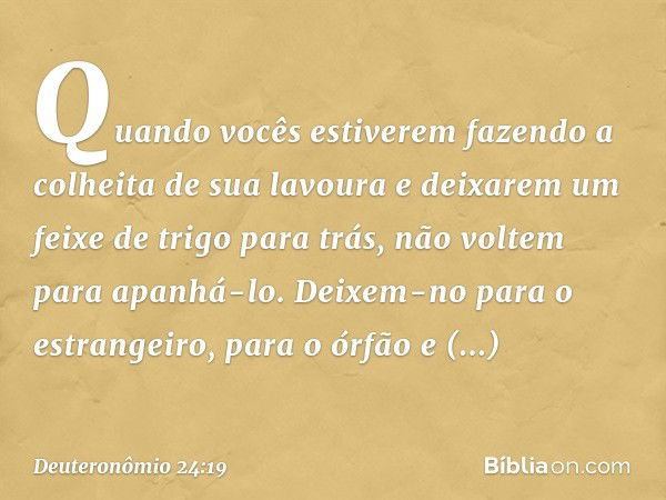 "Quando vocês estiverem fazendo a colheita de sua lavoura e deixarem um feixe de trigo para trás, não voltem para apanhá-lo. Deixem-no para o estrangeiro, para 