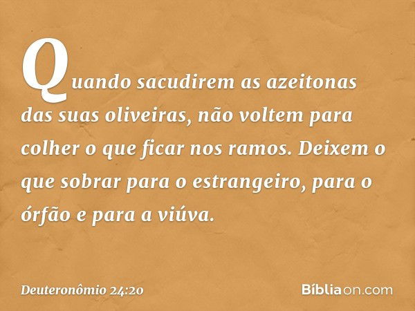 Quando sacudirem as azeitonas das suas oliveiras, não voltem para colher o que ficar nos ramos. Deixem o que sobrar para o estrangeiro, para o órfão e para a vi