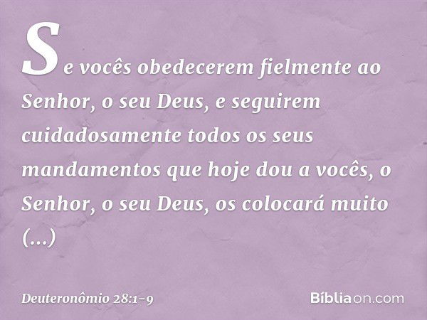 "Se vocês obedecerem fielmente ao Senhor, o seu Deus, e seguirem cuidadosamente todos os seus mandamentos que hoje dou a vocês, o Senhor, o seu Deus, os colocar