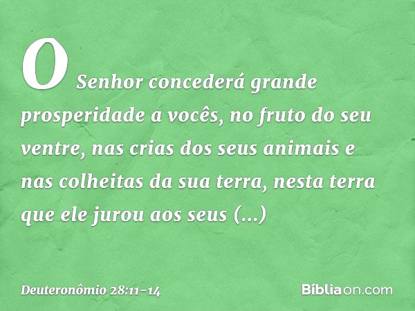 O Senhor concederá grande prosperidade a vocês, no fruto do seu ventre, nas crias dos seus animais e nas colheitas da sua terra, nesta terra que ele jurou aos s