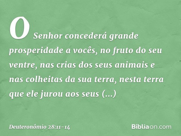 O Senhor concederá grande prosperidade a vocês, no fruto do seu ventre, nas crias dos seus animais e nas colheitas da sua terra, nesta terra que ele jurou aos s