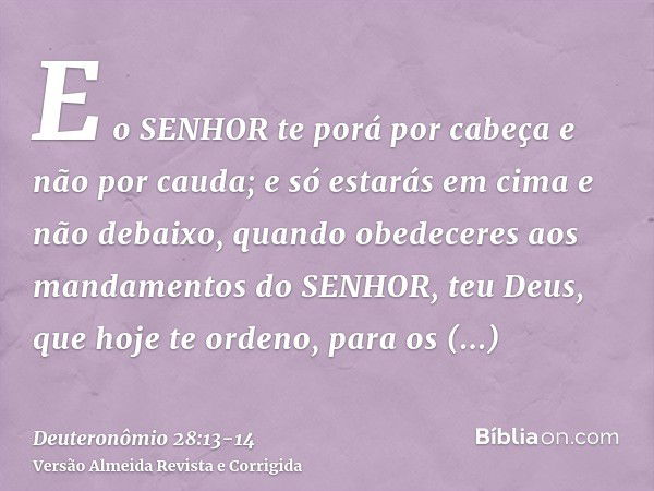 E o SENHOR te porá por cabeça e não por cauda; e só estarás em cima e não debaixo, quando obedeceres aos mandamentos do SENHOR, teu Deus, que hoje te ordeno, pa