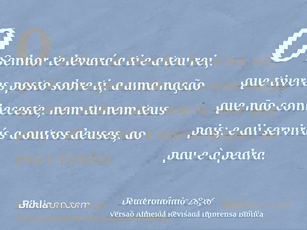 O Senhor te levará a ti e a teu rei, que tiveres posto sobre ti, a uma nação que não conheceste, nem tu nem teus pais; e ali servirás a outros deuses, ao pau e 