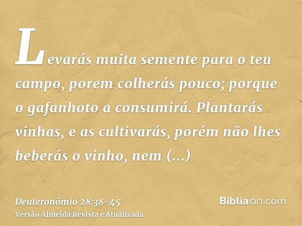 Levarás muita semente para o teu campo, porem colherás pouco; porque o gafanhoto a consumirá.Plantarás vinhas, e as cultivarás, porém não lhes beberás o vinho, 