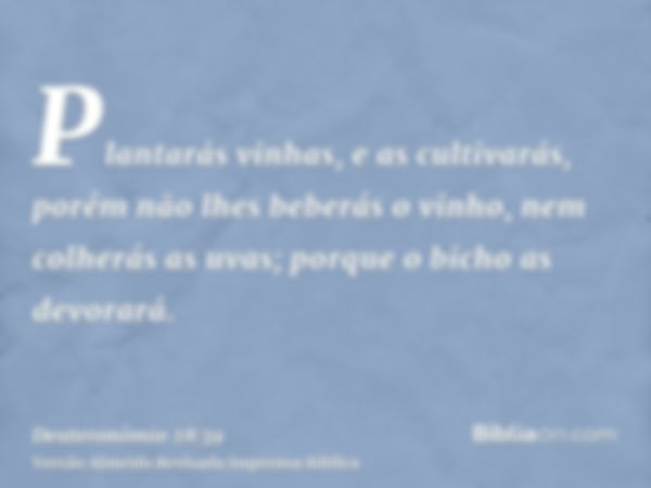 Plantarás vinhas, e as cultivarás, porém não lhes beberás o vinho, nem colherás as uvas; porque o bicho as devorará.