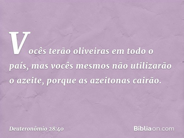 Vocês terão oliveiras em todo o país, mas vocês mesmos não utilizarão o azeite, porque as azeitonas cairão. -- Deuteronômio 28:40