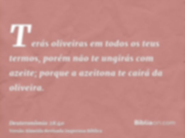 Terás oliveiras em todos os teus termos, porém não te ungirás com azeite; porque a azeitona te cairá da oliveira.