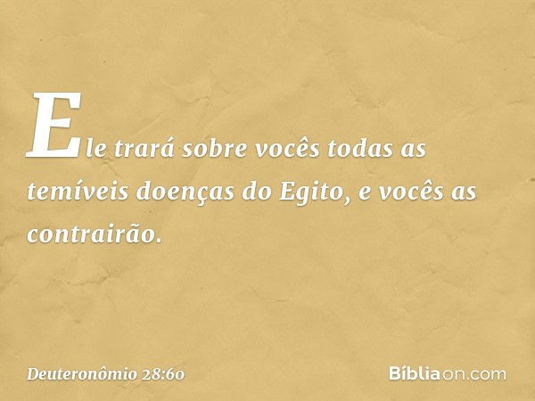 Ele trará sobre vocês todas as temíveis doenças do Egito, e vocês as contrairão. -- Deuteronômio 28:60