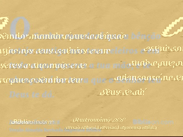 O Senhor mandará que a bênção esteja contigo nos teus celeiros e em tudo a que puseres a tua mão; e te abençoará na terra que o Senhor teu Deus te dá.