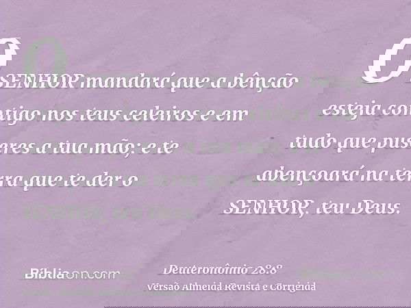 O SENHOR mandará que a bênção esteja contigo nos teus celeiros e em tudo que puseres a tua mão; e te abençoará na terra que te der o SENHOR, teu Deus.