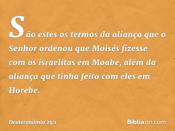 São estes os termos da aliança que o Senhor ordenou que Moisés fizesse com os israelitas em Moabe, além da aliança que tinha feito com eles em Horebe. -- Deuter