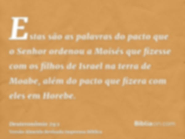 Estas são as palavras do pacto que o Senhor ordenou a Moisés que fizesse com os filhos de Israel na terra de Moabe, além do pacto que fizera com eles em Horebe.